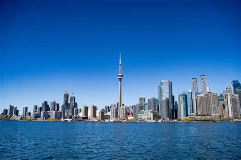 european newcomer  toronto glowing review