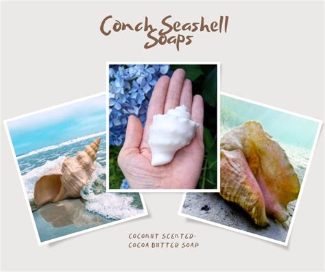 Conch Seashell Soap Set Cocoa Butter Coconut Soap Set Of 4 Seashell