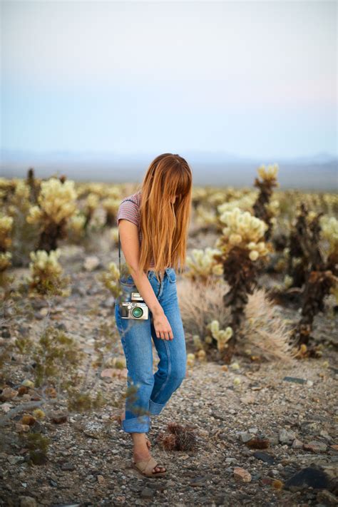 Joshua Tree Cholla Cactus Garden | Keiko Lynn