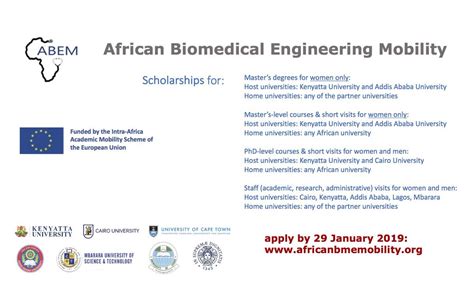 ABEM Biomedical Engineering Scholarships for African Postgraduate ...