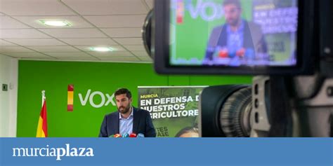 El Constitucional Admite El Recurso De Vox Para Frenar La Personalidad