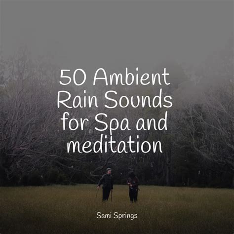 Ambient Rain Sounds For Spa And Meditation Album By Life Sounds