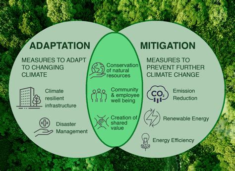 Climate Change Adaptation Or Mitigation What Should Businesses Focus