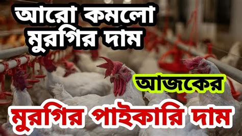 ৫ ডিসেম্বর ২০২২ 🐓 আজকের ব্রয়লার ও সোনালী কক মুরগির পাইকারি দাম। Ajker