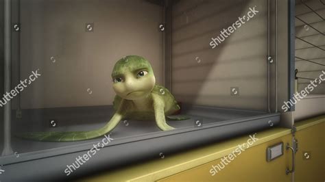 Turtles Tale Sammys Adventures 2010 Editorial Stock Photo Stock Image