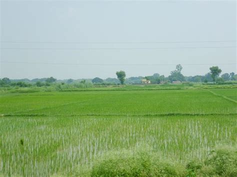 Groundwater Depletion In Haryana A Cause Of Serious Concern Vardhman