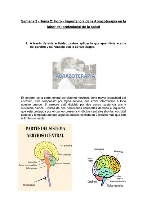 Semana 3 Tema 2 Foro Importancia De La Abrazoterapia En La Labor