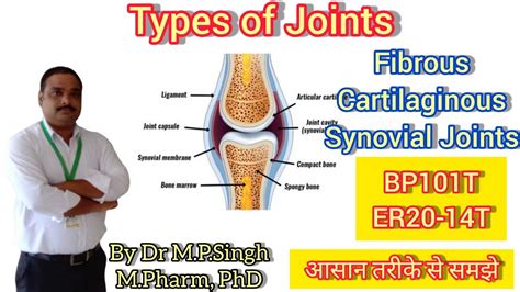 Types Of Joints Fibrous Cartilaginous And Synovial Joints Human Anatomy And Physiology