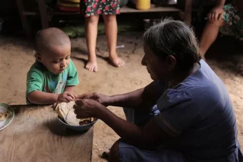 Pobreza Alimentaria Infantil Con Niveles Alarmantes Advierte Unicef