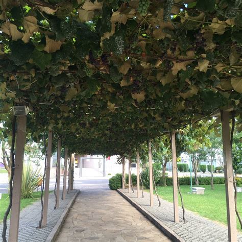 Praça Achyles Mincarone - Praça Achyles Mincarone (Bento Gonçalves) - Tripadvisor