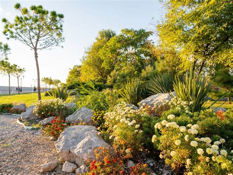 The Art Of Xeriscaping A Guide To Eco Friendly Landscape Design