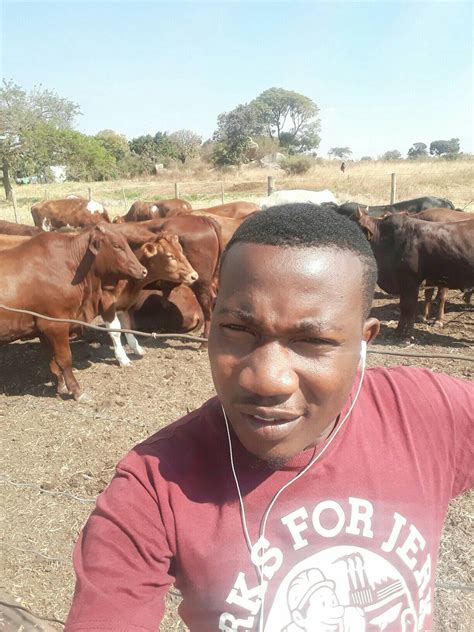 Onewaymeats #Abattoir #Butchery... - Oneway Meats Butchery