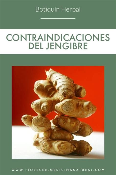 Contraindicaciones Del Jengibre Florecer Medicina Natural