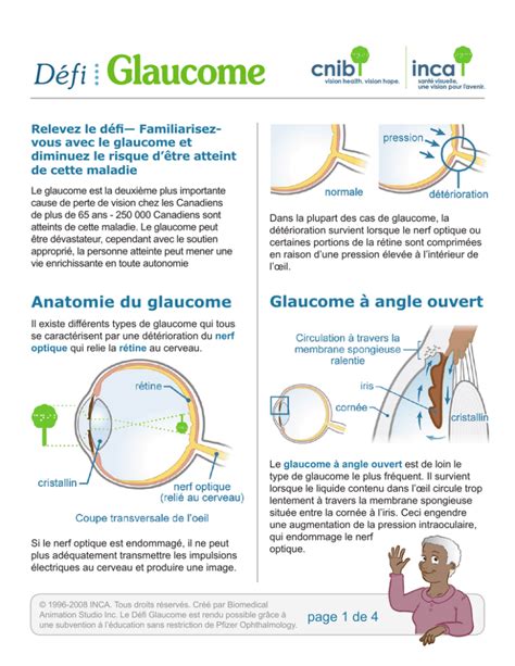 Anatomie Du Glaucome Glaucome Angle Ouvert