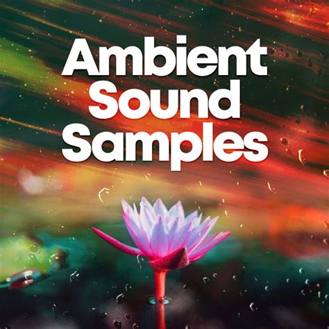 Ambient Sound Samples Album By Zen Méditation Ambiance Spotify