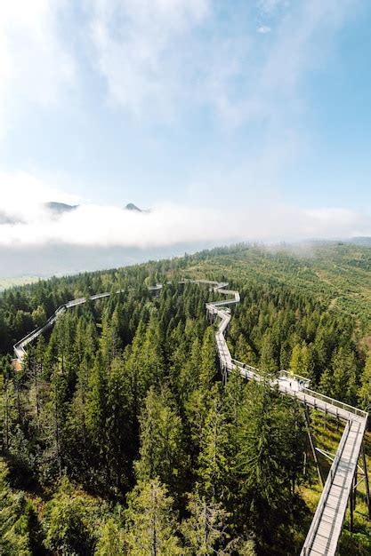 Pont En Bois Au Milieu De La For T Avec Vue Sur Les Montagnes Tatra