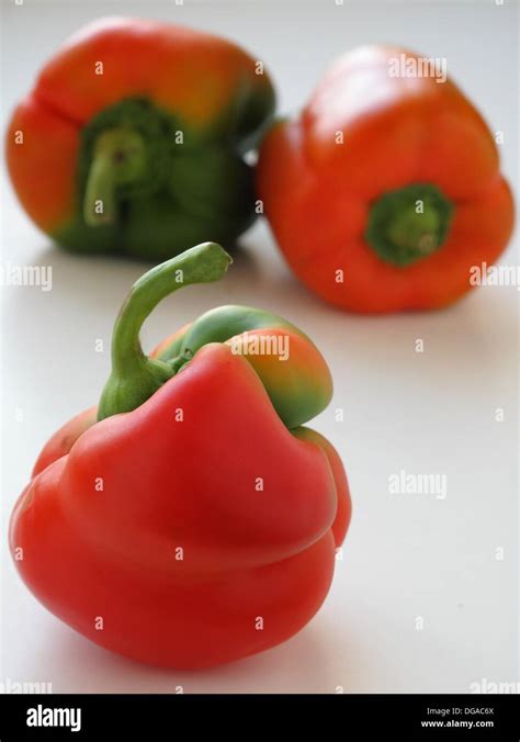 Pepper Capsicum Annuum Stock Photo Alamy