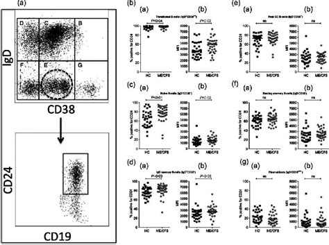 Frequency And Expression Of Cd24 On B Cell Subsets In Patients With