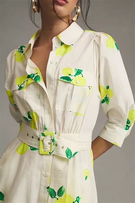 Essentiel Antwerp Darko Belted Shirt Dress Anthropologie