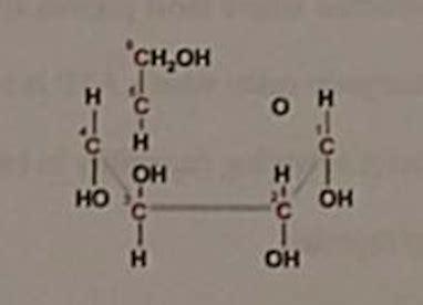 Biochemistry Final Flashcards Quizlet