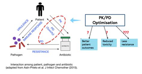 Pharmacokinetics Of Antimicrobials