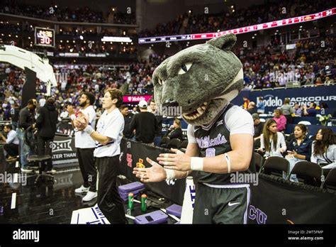 March 14, 2024, Kansas City, Missouri, USA: KSU Mascot Willie the ...