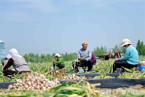 5月17日最佳情报安全无小事！多地壹粉报料问题井盖获奖泰安大蒜红包