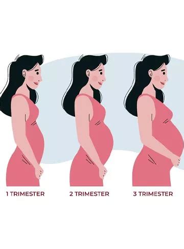 IVF Pregnancy Week by Week Symptoms | Indira IVF