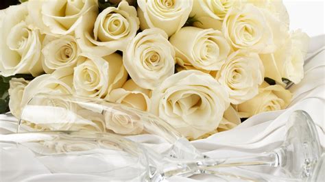 White Roses Flower - Wallpaper, High Definition, High Quality, Widescreen