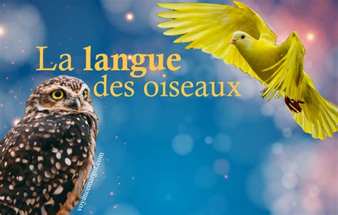 LES MESSAGES SECRETS DE LA LANGUE DES OISEAUX