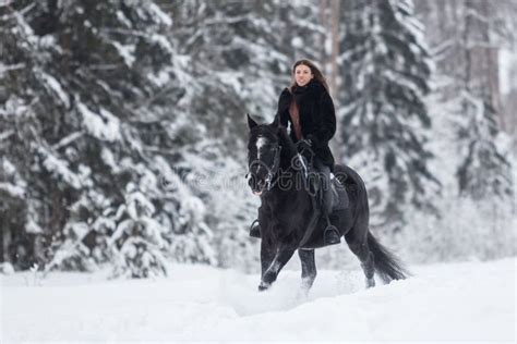 Black Horse Running in Snow on Winter Background Stock Photo - Image of ...