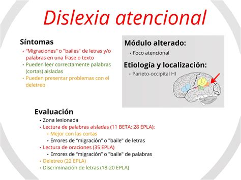 Dislexia Qu Es S Ntomas Y Ejercicios De Lectoescritura Off