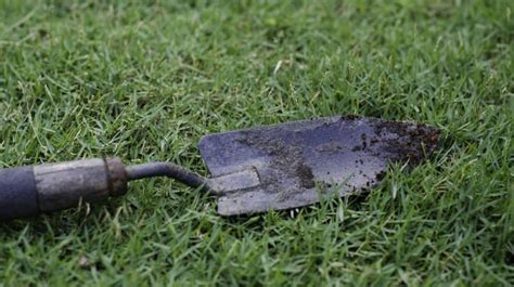 Most Common Gardening Tools And Their Uses