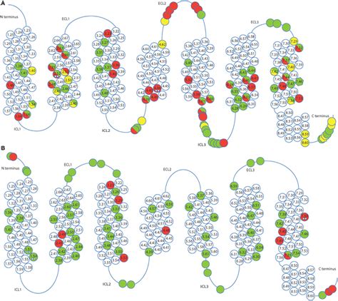 Favorable Mutations Identified By Alanine Scanning A And Directed