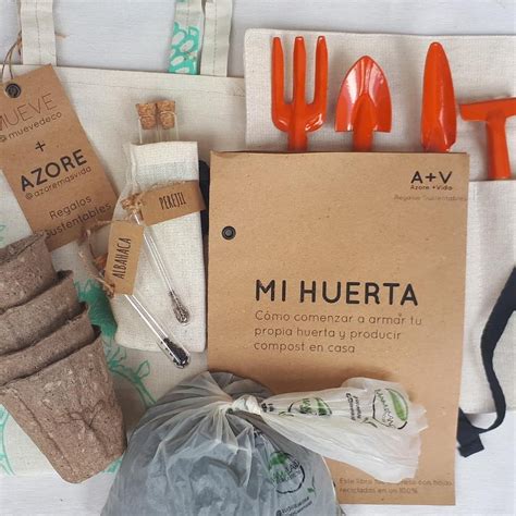 Acá te mostramos como quedó nuestro KIT MI HUERTA PREMIUM Trae