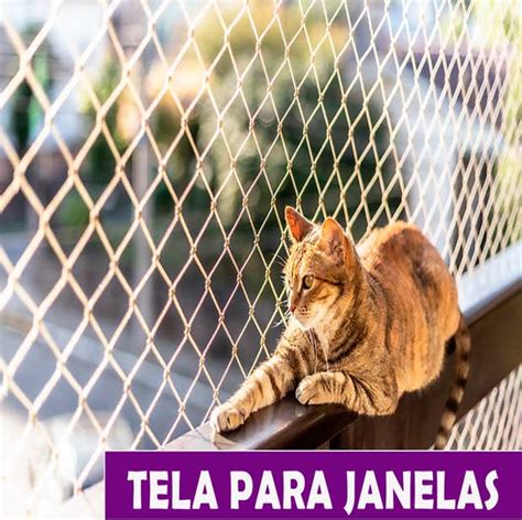 Tela De Prote O Para Janela Rede Cia