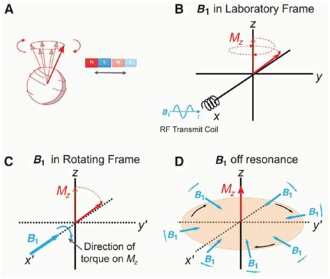 Magnetic Resonance Basics Magnetic Fields Nuclear Magnetic