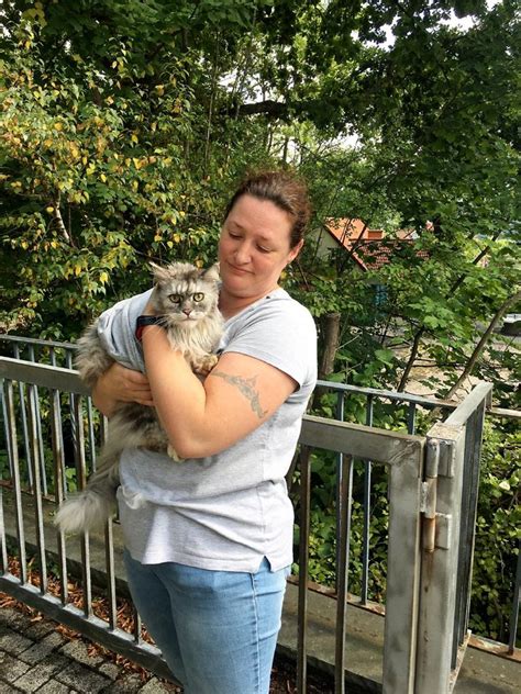 Feuerwehr Rettet Katze Aus Baum