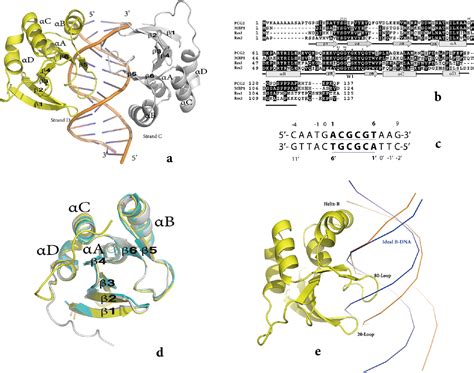 Figure 1 From Structural Basis Of DNA Recognition By PCG2 Reveals A