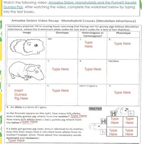 Amoeba Sisters Video Recap Monohybrid Crosses Mendelian Inheritance Answers Solved Lambert
