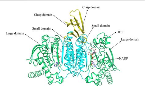 Figure 1 from Recent advances of IDH1 mutant inhibitor in cancer ...