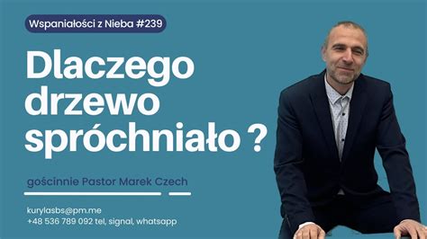 Dlaczego drzewo spróchniało WZN 239 Pastor Czech YouTube