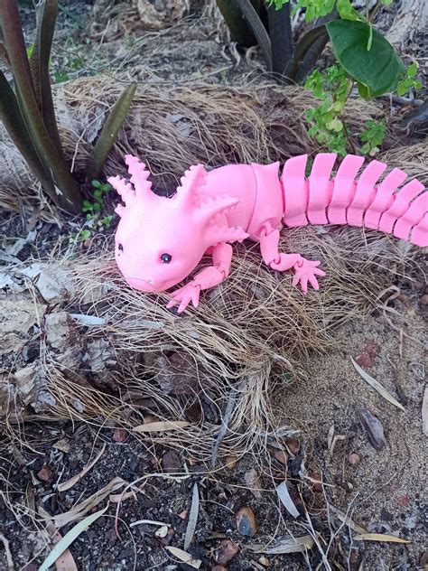 Smiling Axolotl Fidget Toy Articulated Axolotl Toy Axolotl Etsy Australia