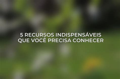 Recursos Indispens Veis Que Voc Precisa Conhecer Acciyo