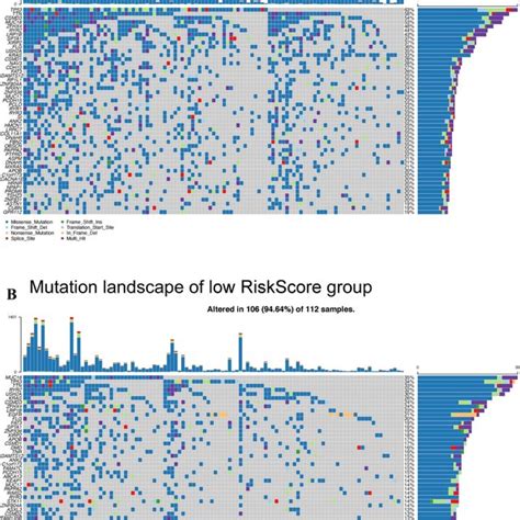 Mutation Landscape Of Patients In The Tcga Database A Top Ranked