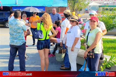 Hoy Tamaulipas Siembran Ambientalistas De Tampico Arboles Sin Permiso