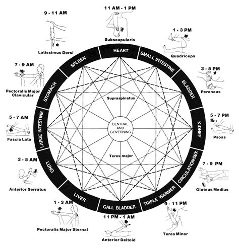 Human Energy Maps