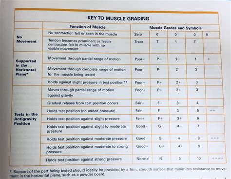 Kendall Mmt Muscle Grades Worksheet