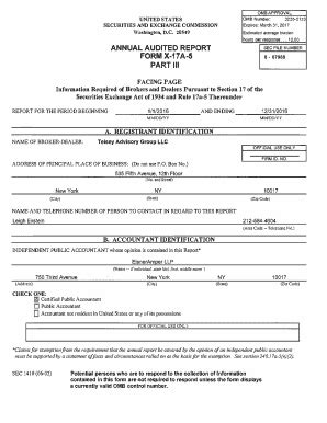 Fillable Online ANNUAL AUDITED REPORT FORM X 17 A 5 PART Ill SEC