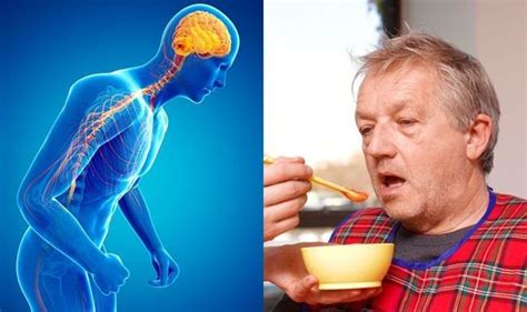 Parkinsons: Causes of symptoms include genes | Express.co.uk